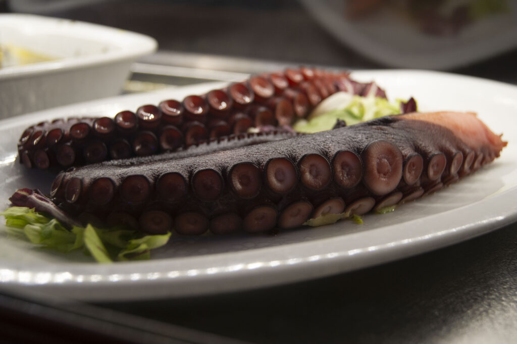 pulpo a la brasa