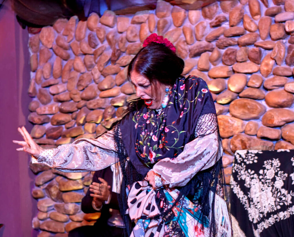 espectáculo flamenco